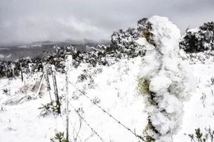 Primeira neve do ano anima moradores das serras do Sul; veja a previsão para os próximos dias