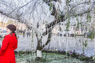 Geada e neve são a mesma coisa? Veja o que é a geada e como ela se forma