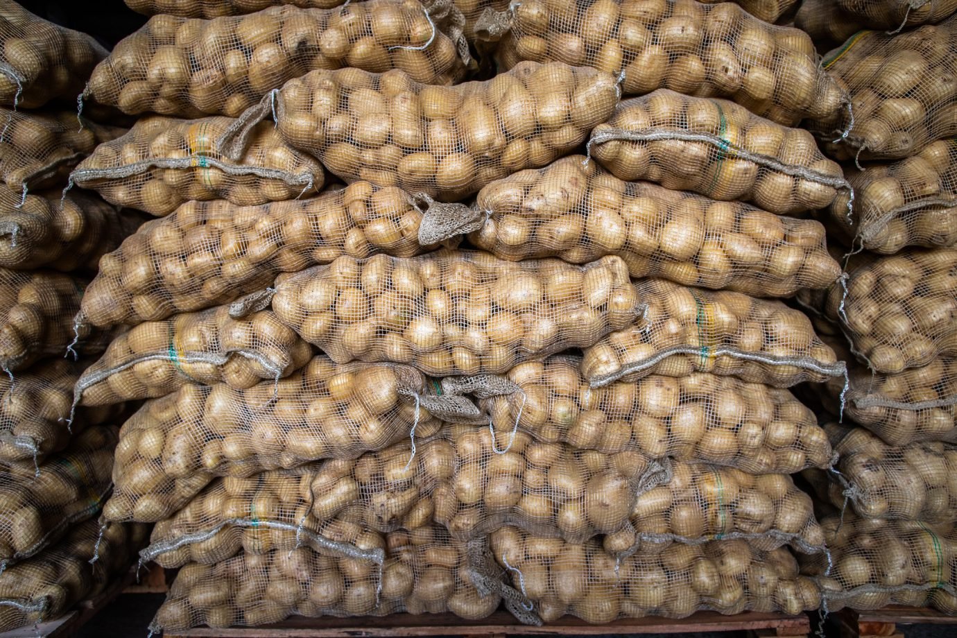 Quais os tipos de batata mais comuns no Brasil?