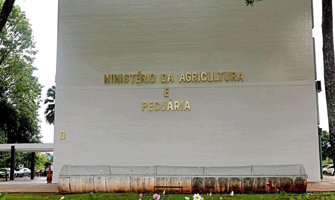 Plano Safra 2025/26 será lançado no final de junho com valor que pode superar R$ 475 bilhões